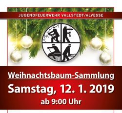 Weihnachtsbaum-Sammlung 2019